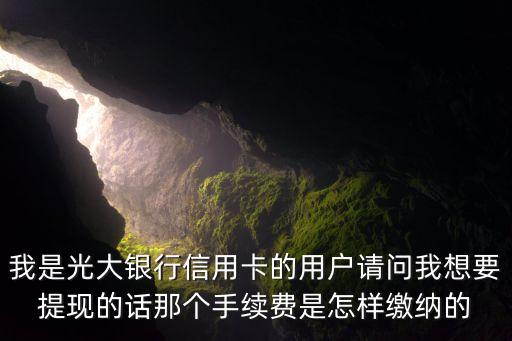 我是光大銀行信用卡的用戶(hù)請(qǐng)問(wèn)我想要提現(xiàn)的話那個(gè)手續(xù)費(fèi)是怎樣繳納的