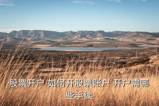 一般炒股開戶都開什么，炒股開戶的話要辦哪些手續(xù)手續(xù)多不多