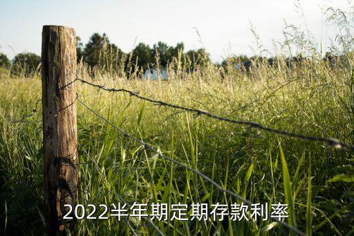 2022半年期定期存款利率