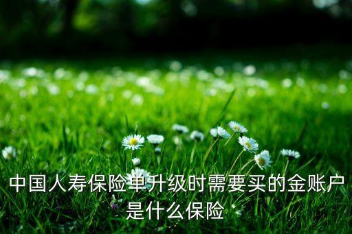 國壽金賬戶是什么意思，人壽金賬戶是什么意思