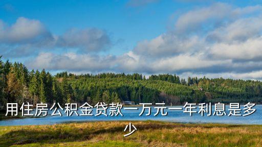用住房公積金貸款一萬元一年利息是多少