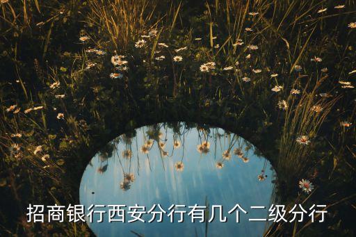 招商銀行有多少家分行，招商銀行西安分行有幾個二級分行