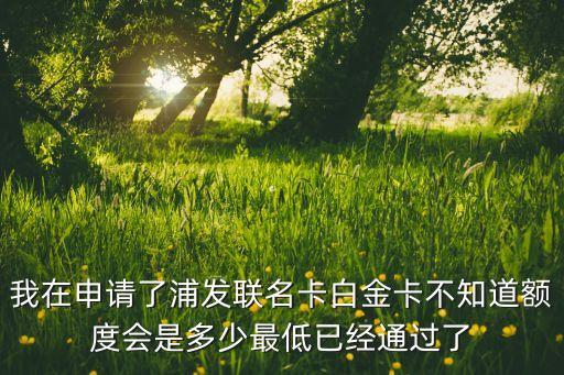 浦發(fā)聯(lián)盟信用卡額度多少錢，浦發(fā)銀行信用卡額度一般是多少