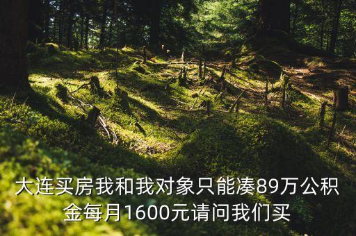 買房預(yù)算多少合適，小夫妻買房子買多少平方適合不需要太奢華有個小家過日子就好