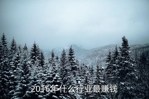 2016年什么行業(yè)最賺錢