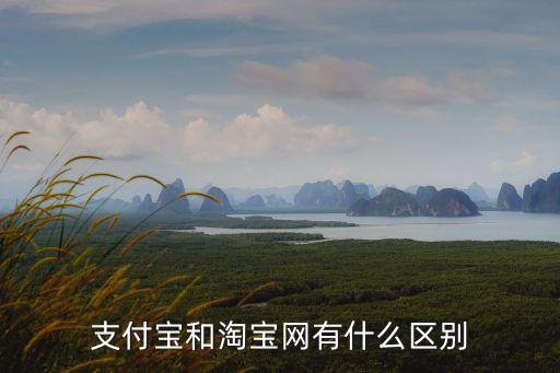 淘寶支付寶跟支付寶有什么區(qū)別，支付寶和淘寶有什么不同