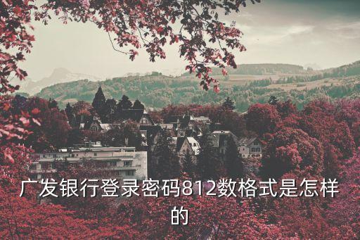 廣發(fā)銀行登錄密碼812數(shù)格式是怎樣的