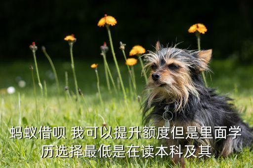 申請借唄學(xué)歷選什么，我是今年的高考生我下半年就要上大學(xué)了那申請螞蟻借唄時應(yīng)該填