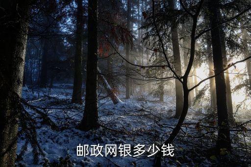 郵政網(wǎng)銀多少錢