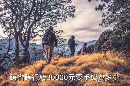 跨省跨行轉(zhuǎn)30000元要手續(xù)費(fèi)多少