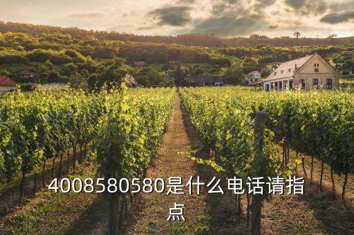 山東濟(jì)寧平安小額貸款公司電話是多少，平安小額貸款電話是多少