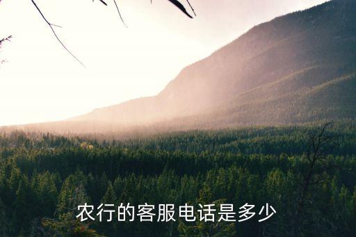 農(nóng)行的客服電話是多少
