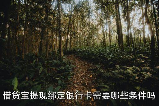 借貸寶提現(xiàn)綁定銀行卡需要哪些條件嗎