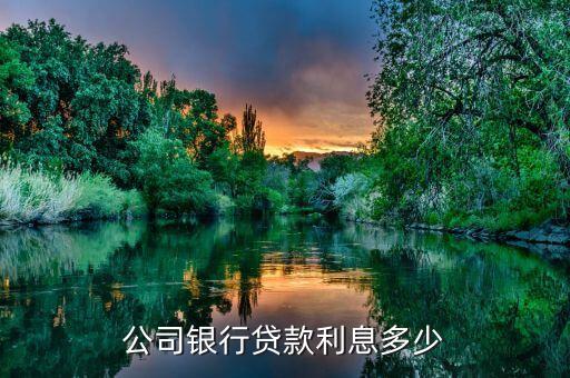 公司銀行貸款利息多少