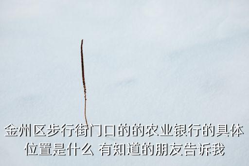 金州區(qū)步行街門口的的農(nóng)業(yè)銀行的具體位置是什么 有知道的朋友告訴我