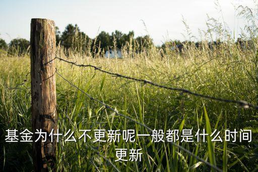 基金為什么不更新呢一般都是什么時(shí)間更新