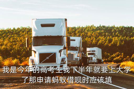 我是今年的高考生我下半年就要上大學(xué)了那申請(qǐng)螞蟻借唄時(shí)應(yīng)該填