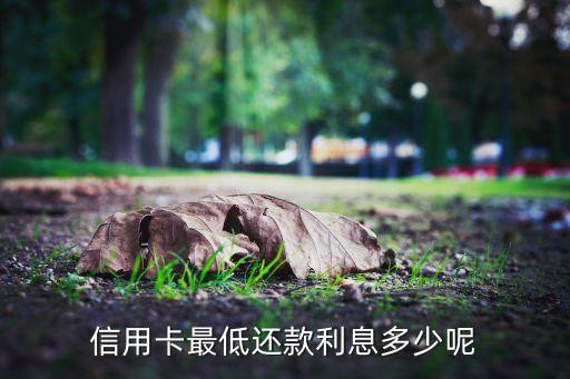 信用卡最低還款利息多少呢