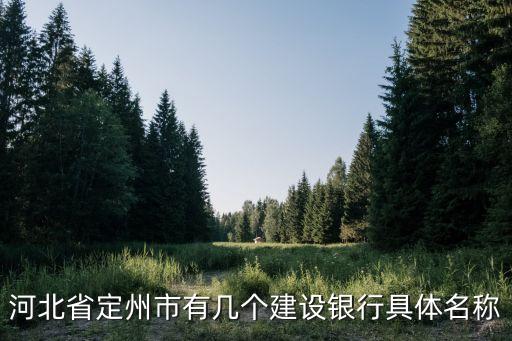 河北省定州市有幾個(gè)建設(shè)銀行具體名稱