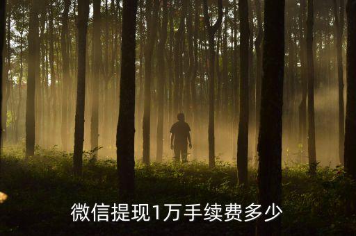 套現(xiàn)一萬多少手續(xù)費，信用卡取現(xiàn)一萬要多少錢手續(xù)費