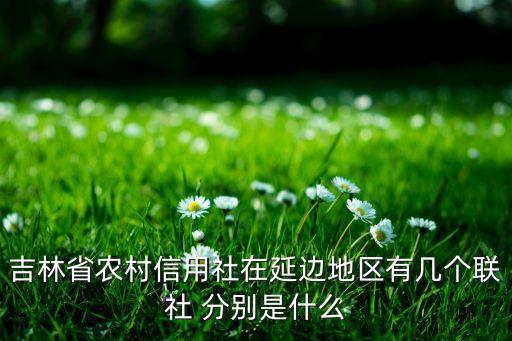 吉林省農(nóng)村信用社在延邊地區(qū)有幾個(gè)聯(lián)社 分別是什么