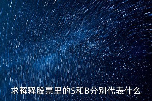 求解釋股票里的S和B分別代表什么