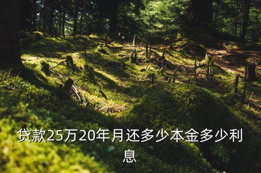 貸款25萬20年月還多少本金多少利息