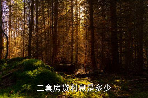 二套房貸利息是多少