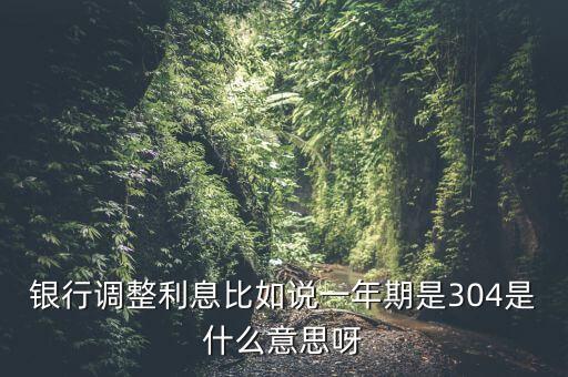 銀行調整利息比如說一年期是304是什么意思呀