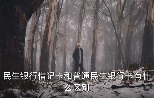 什么叫民生銀行卡，什么是民生借記卡