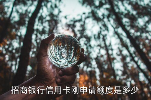招商銀行信用卡剛申請額度是多少