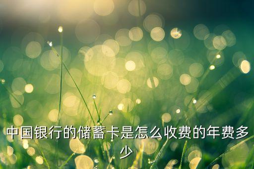 中國銀行結(jié)算卡年費(fèi)多少，中國銀行借記卡年費(fèi)收費(fèi)標(biāo)準(zhǔn)