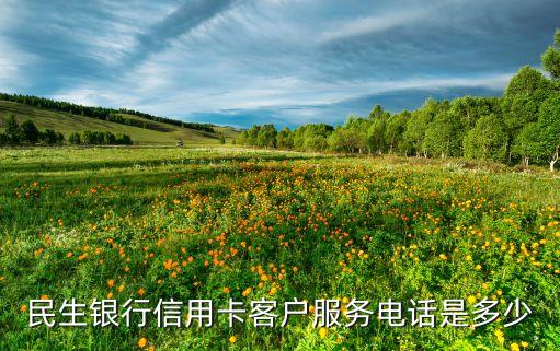 民生銀行信用卡客戶服務(wù)電話是多少
