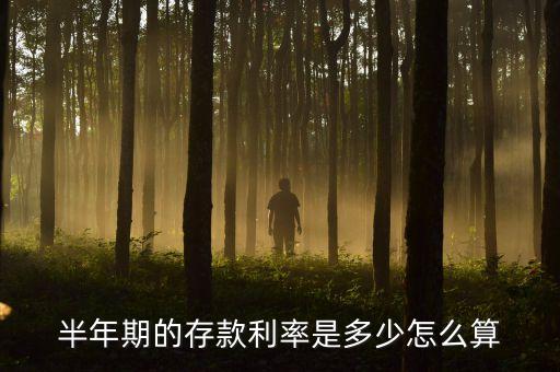 半年期的存款利率是多少怎么算