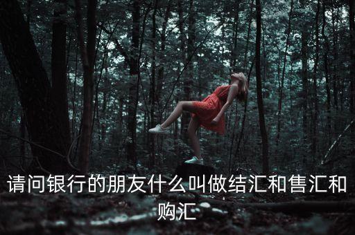 工商銀行購匯是什么意思，工商的購匯是什么