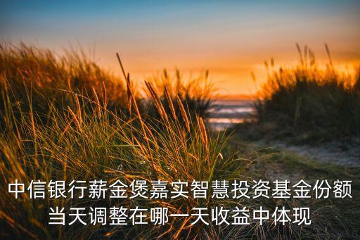 中信銀行薪金煲嘉實智慧投資基金份額當天調(diào)整在哪一天收益中體現(xiàn)