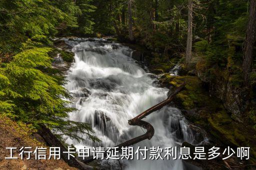 銀行延期利息是多少，工行信用卡申請延期付款利息是多少啊