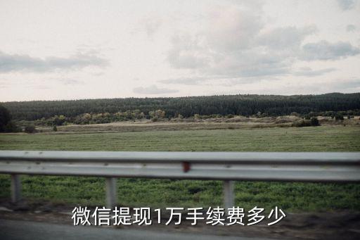 微信提現(xiàn)1萬手續(xù)費多少