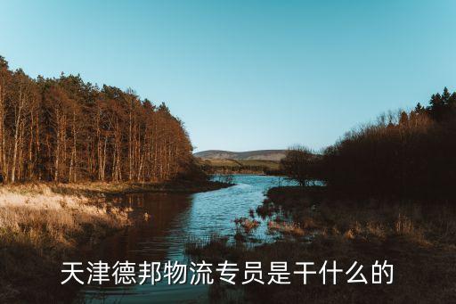天津德邦物流專員是干什么的