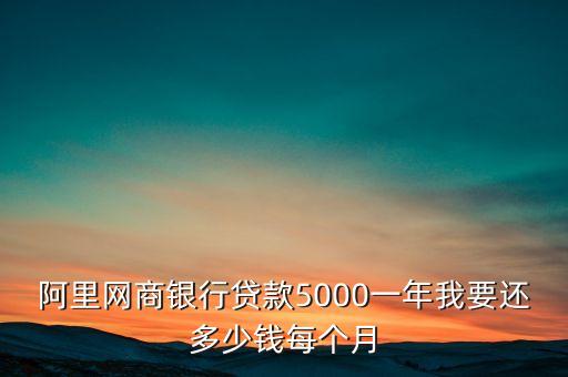 阿里網(wǎng)商銀行貸款5000一年我要還多少錢每個(gè)月