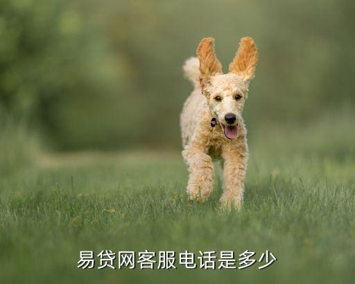 易貸網(wǎng)客服電話是多少