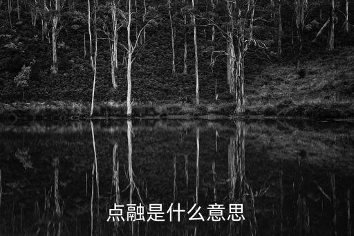 點(diǎn)融是什么意思