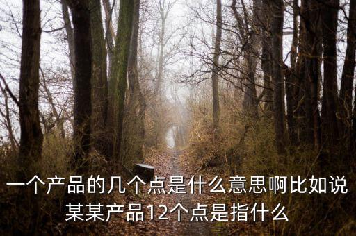 一個(gè)產(chǎn)品的幾個(gè)點(diǎn)是什么意思啊比如說(shuō)某某產(chǎn)品12個(gè)點(diǎn)是指什么