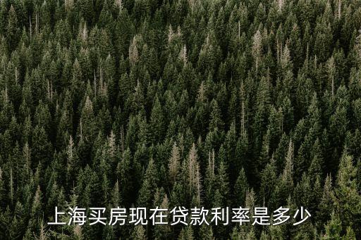 5月1日 上海房貸利率是多少錢，上海房貸利率是多少