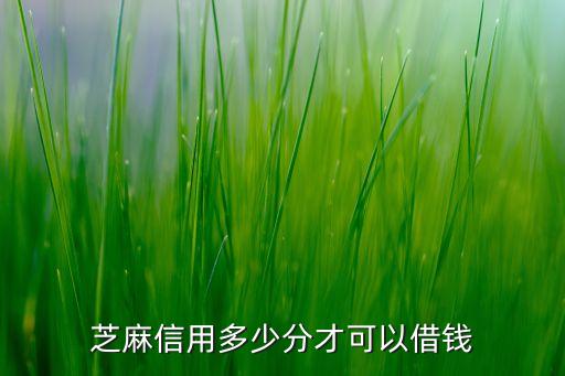 芝麻信用多少分才可以借錢
