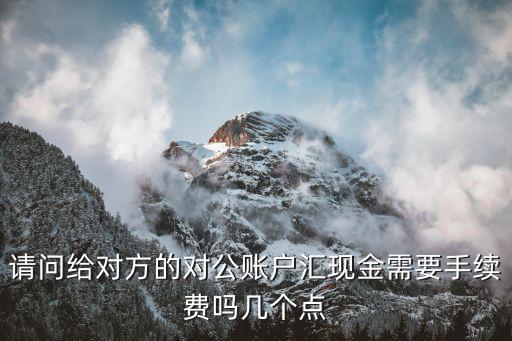 請問給對方的對公賬戶匯現(xiàn)金需要手續(xù)費嗎幾個點