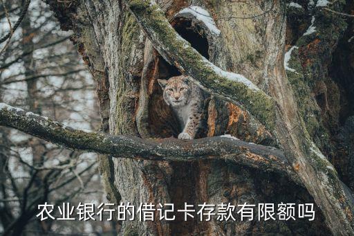 農(nóng)業(yè)銀行的借記卡存款有限額嗎