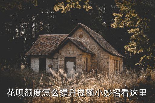 花唄消費(fèi)多少可以提額度嗎，支付寶每個(gè)月用一兩千塊錢花唄能提額到5000不