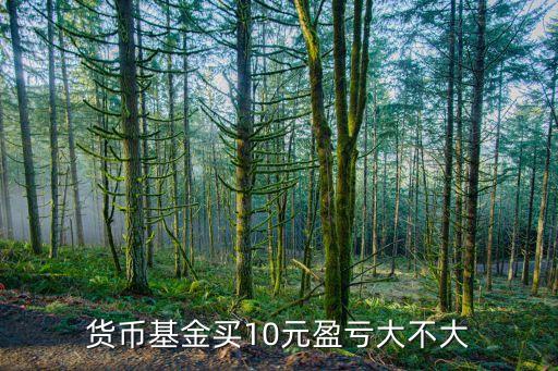 貨幣基金買10元盈虧大不大
