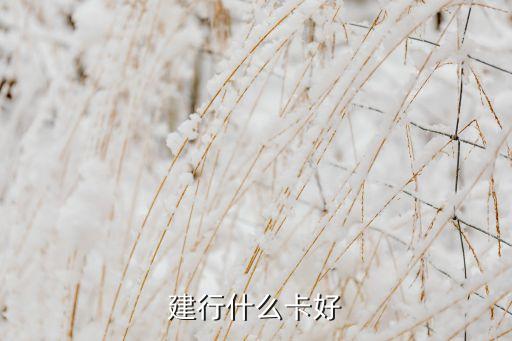 有什么好用的建行卡，建行的那種信用卡好用點(diǎn)